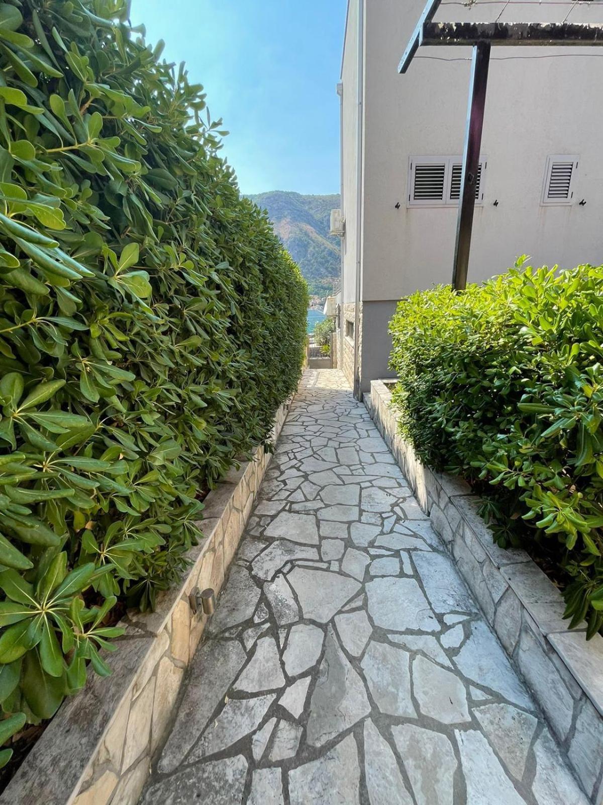 Bjelica Apartments Kotor Ngoại thất bức ảnh
