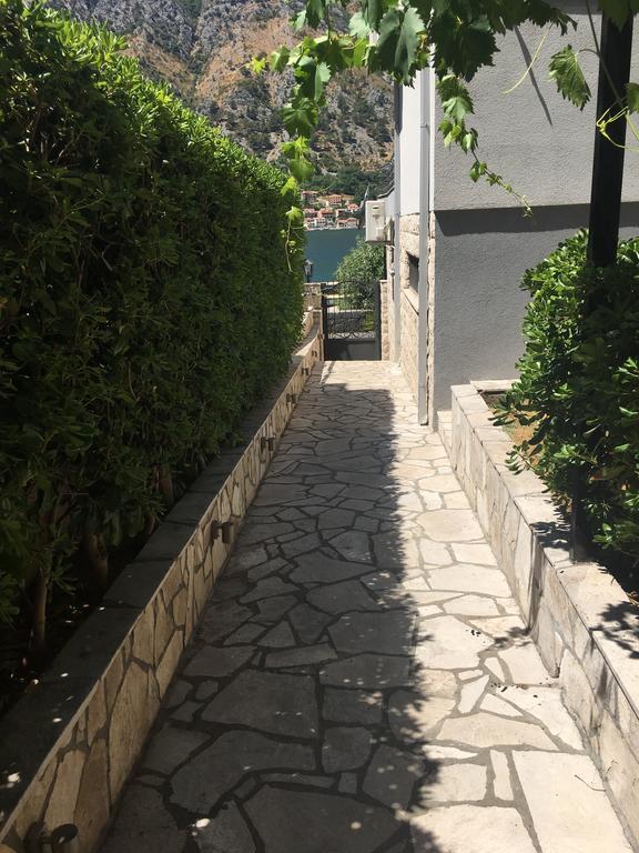 Bjelica Apartments Kotor Ngoại thất bức ảnh
